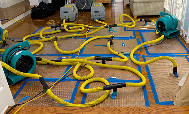 Professional Water Damage Restoration technician working in Indianola, PA